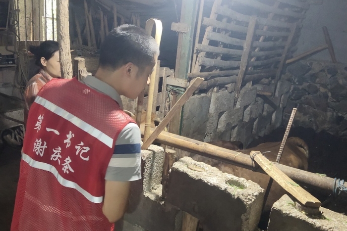 接力奋进新征程 医者初心践于行——无码av影片
口腔颌面外科党支部谢庆条赴马山县龙琴村担任驻村第一书记 第 1 张